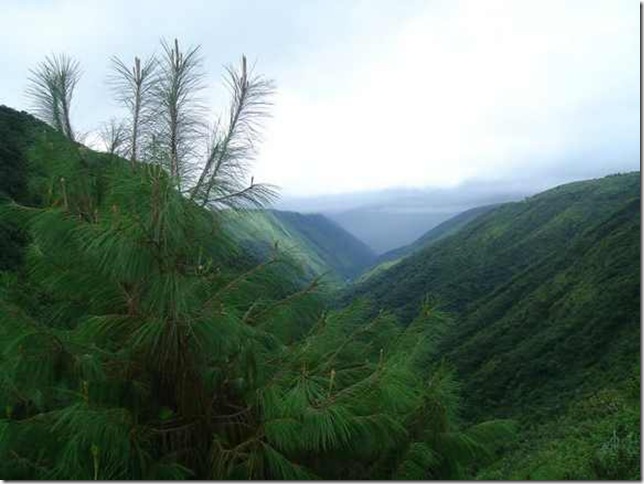 Mawsynram-Meghalaya- Mawsynram-Meghalaya-