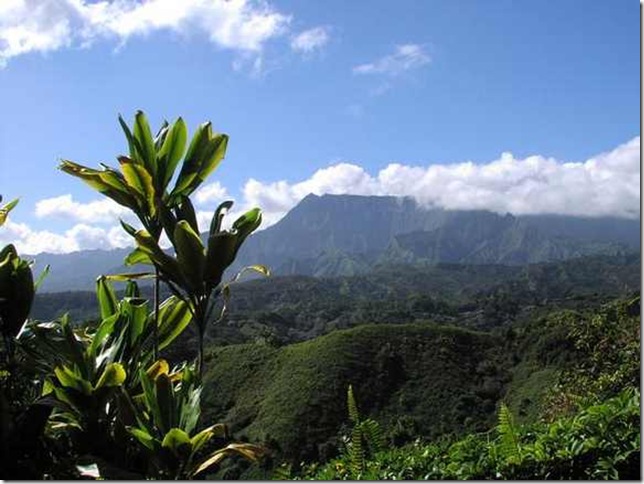 Mount-Waialeale-2 Mount-Waialeale-2
