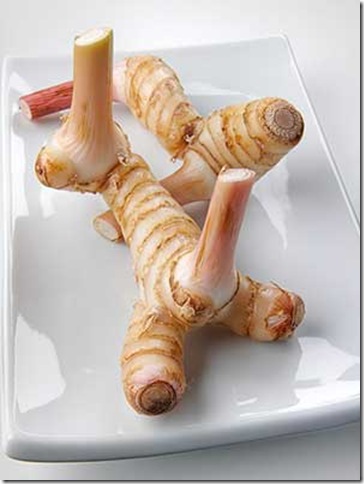 Высушенные кусочки корня калгана