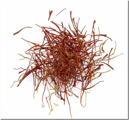 Цветы шафрана Crocus sativus на поле