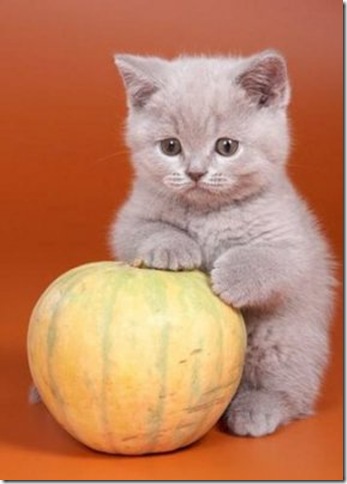 3305_full 3305_full
