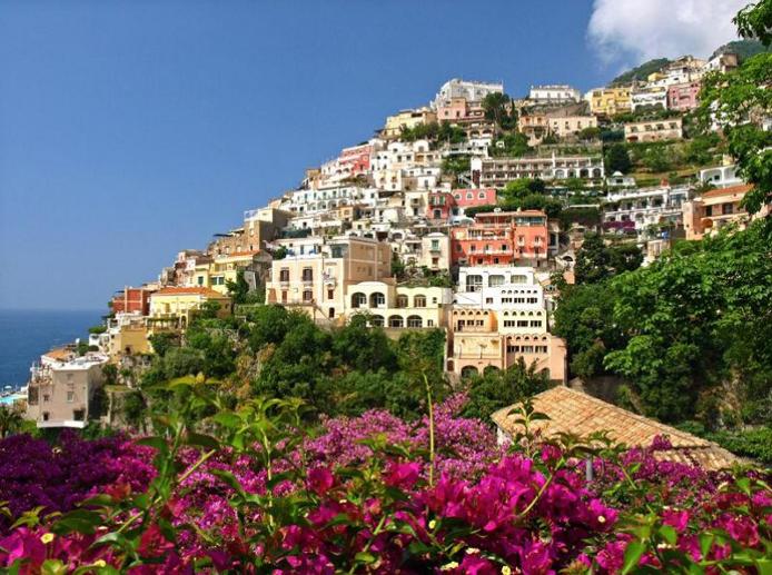 Bougainvillea Bougainvillea