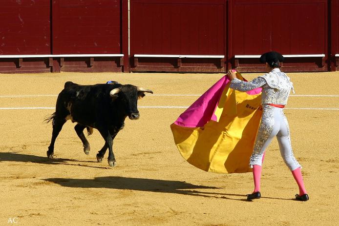 Коррида Коррида