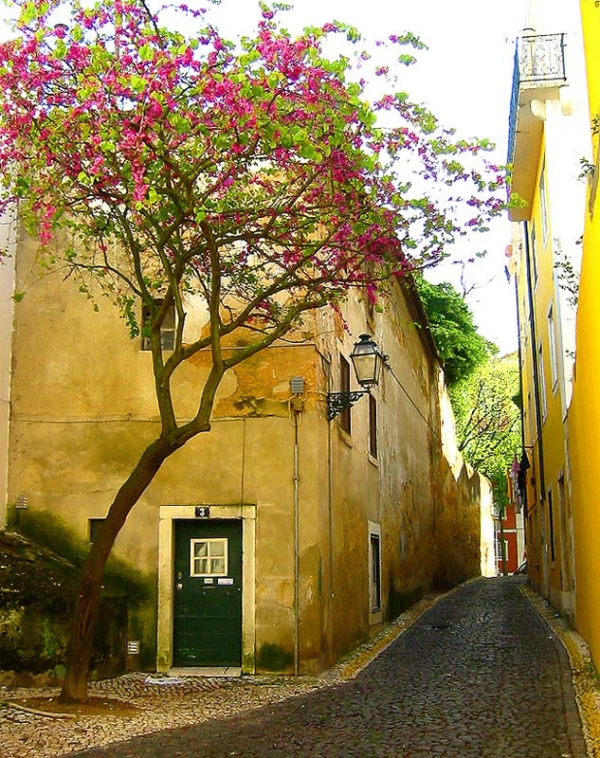 Лиссабон Лиссабон