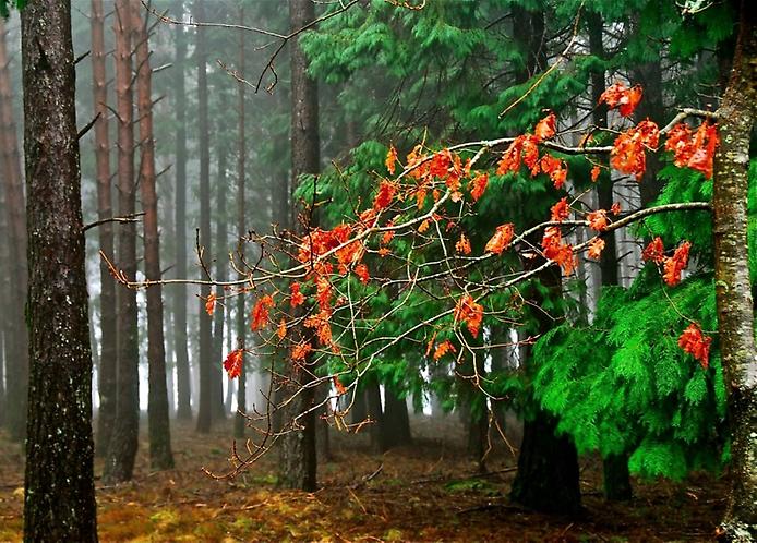 Фотопрогулка по Португалии Фотопрогулка по Португалии