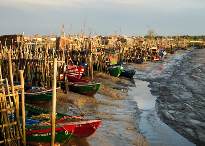 Лодки Лодки