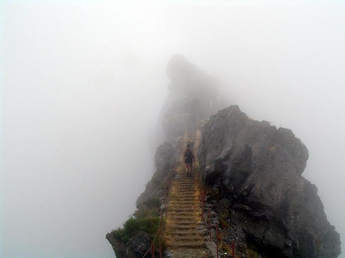 Дорога в никуда Дорога в никуда