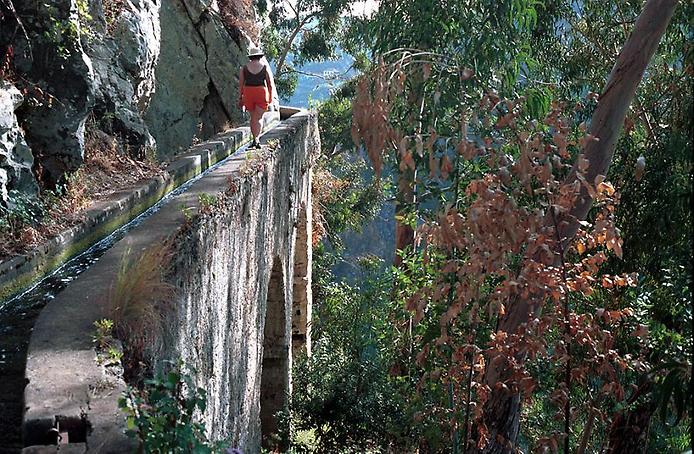 Мадейра Мадейра