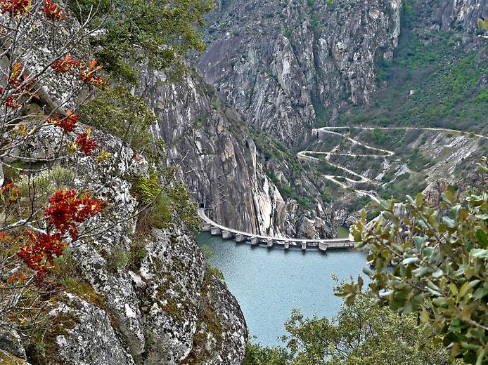 Дамба Дамба