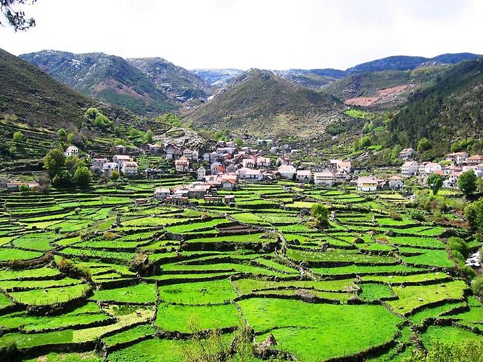 Деревня Деревня