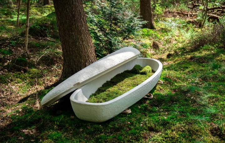 биоразлагаемый гроб биоразлагаемый гроб