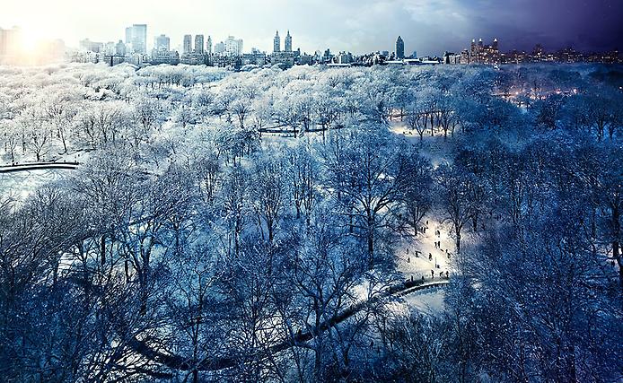Центральный парк Центральный парк