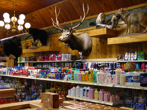 придорожные щиты аптеки Wall Drug