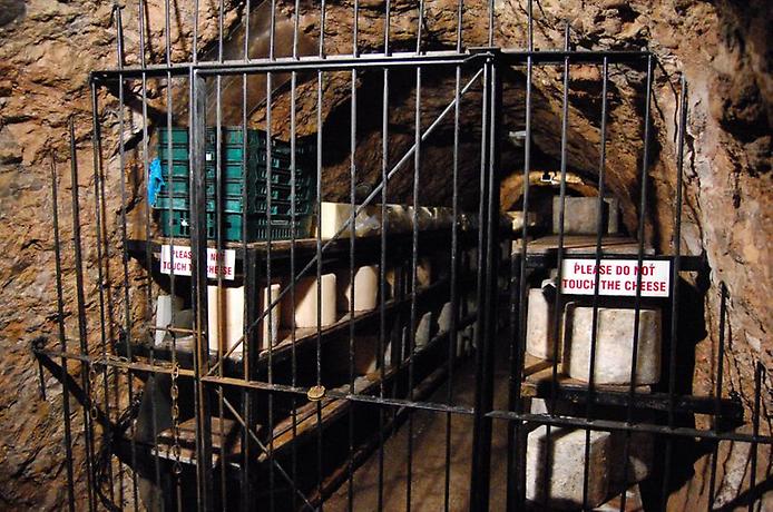 Пожалуйста, не трогайте сыр! Пожалуйста, не трогайте сыр!
