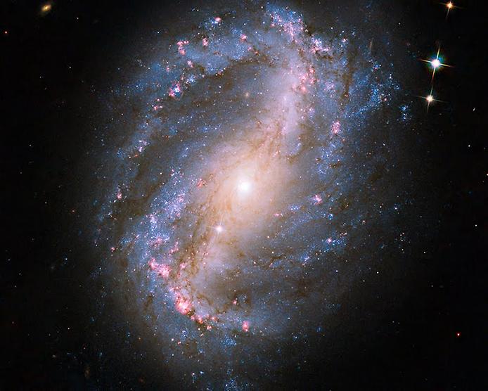 NGC 6217 NGC 6217
