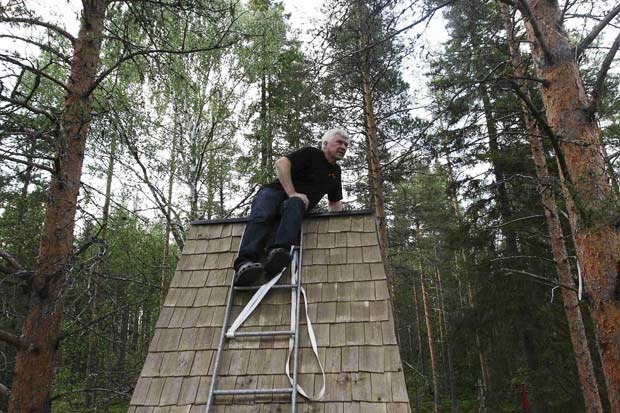 отель на дереве отель на дереве