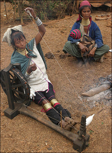 длинные шеи длинные шеи