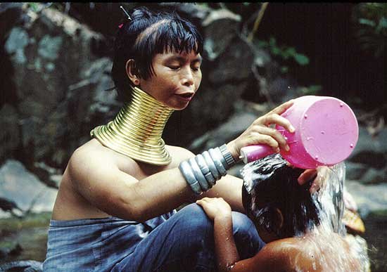 самая длинная шея самая длинная шея