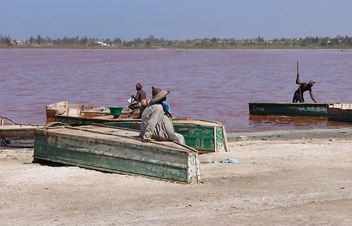 розовая вода озера Ретба крупным планом