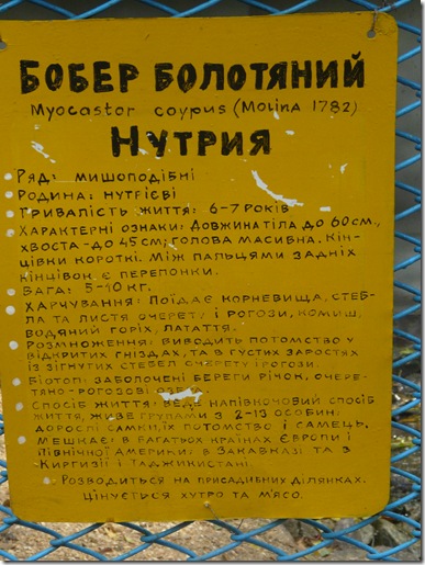 осенние деревья вдоль дорожки