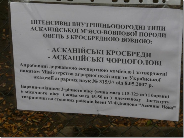 копытные животные на пастбище