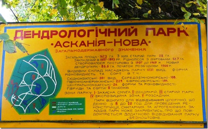зелёные насаждения и деревья дендропарка
