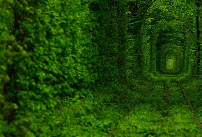 железная дорога в зелёном тоннеле Клевани