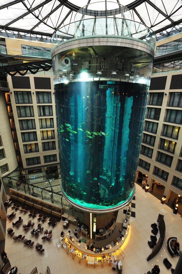 AquaDom и самый большой аквариум-цилиндр AquaDom и самый большой аквариум-цилиндр