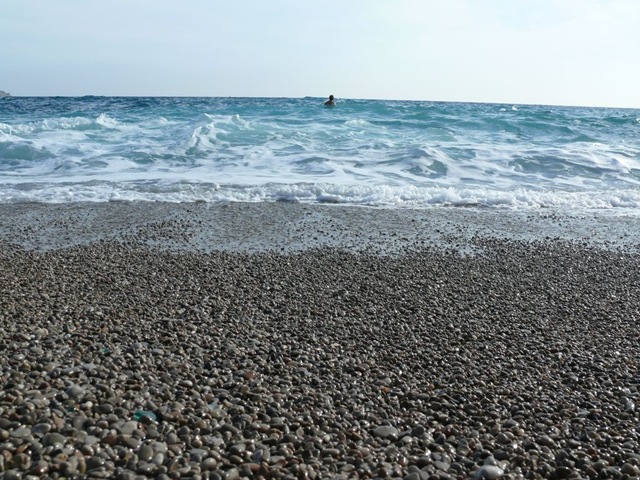 P1130551 P1130551