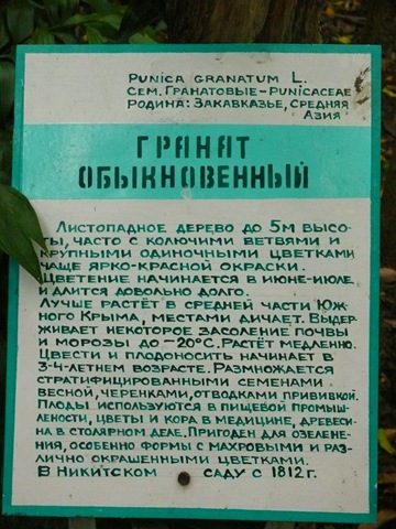 Информационная табличка о гранате