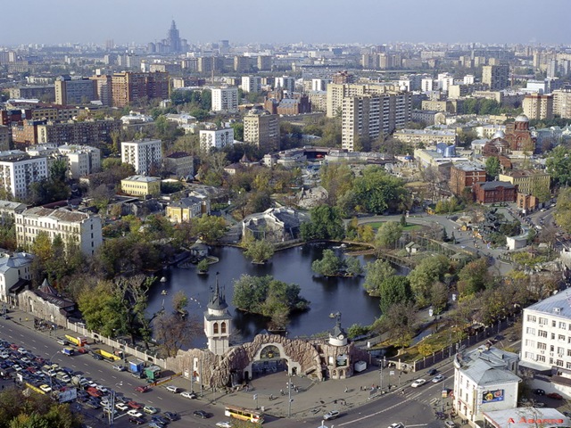 Большой пруд Московского зоопарка с водоплавающими птицами