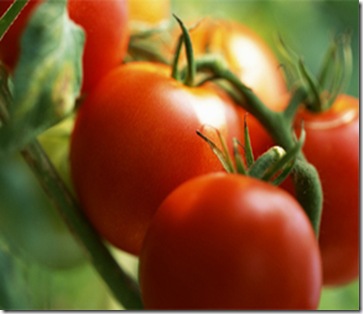 свежие овощи на рынке