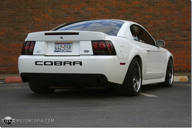 Mustang SVT Cobra 2003 года