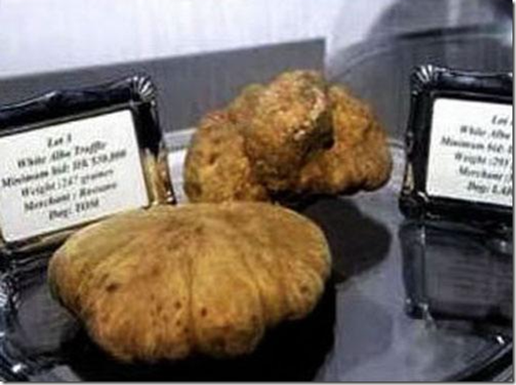 Белый трюфель на деревянной доске