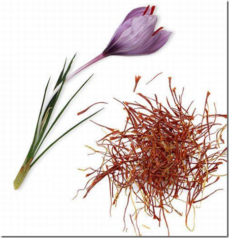 Настоящий шафран – тычинки крокуса
