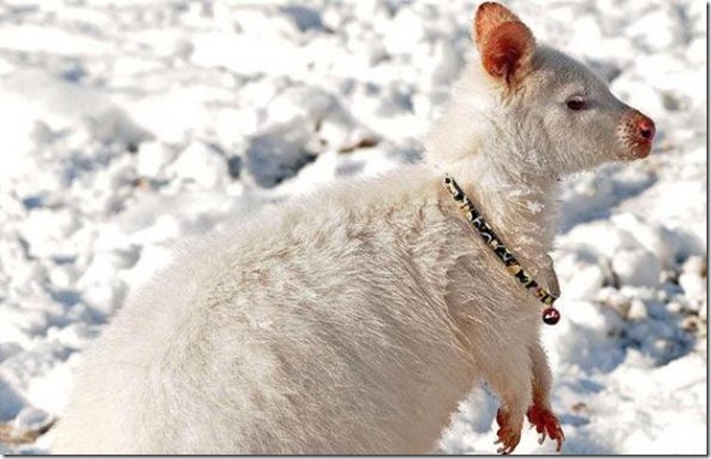 10d297deddc86be70c08c2eac35_prev 10d297deddc86be70c08c2eac35_prev