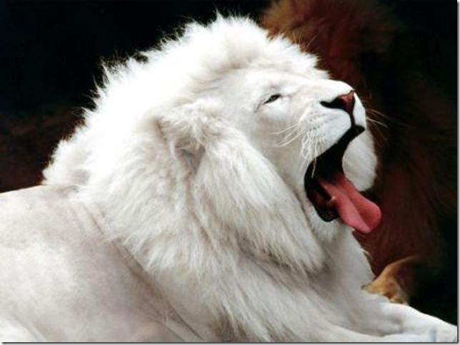 4847a342e7700 4847a342e7700