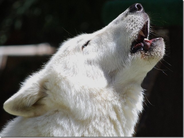 49123544_5b52b2914e32 49123544_5b52b2914e32