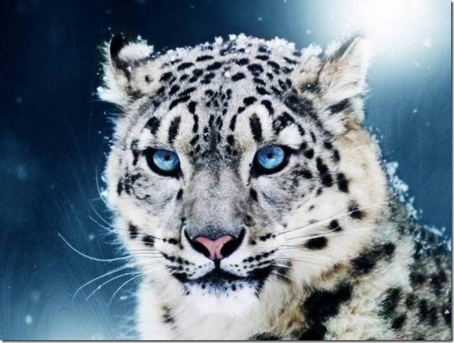 49125329_913239069 49125329_913239069