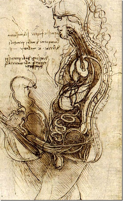 Рисунок Леонардо да Винчи