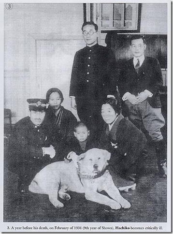 историческая фотография Хатико