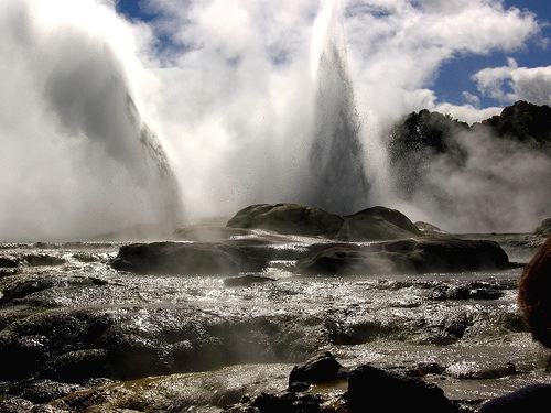 гейзер Принц Чарльз в геотермальной зоне Роторуа