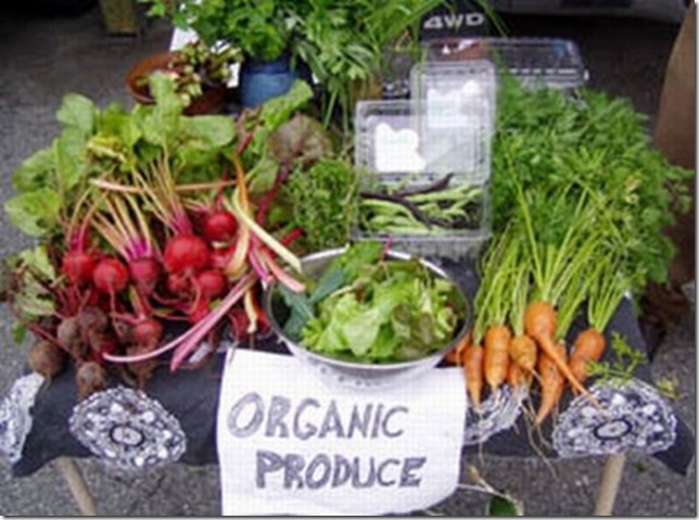 green-basics-organic-produce-stand green-basics-organic-produce-stand