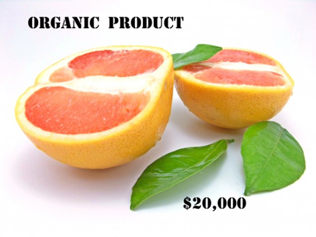 Инфографика о принципах органического земледелия