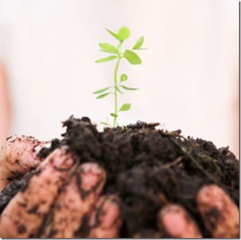 organic life organic life