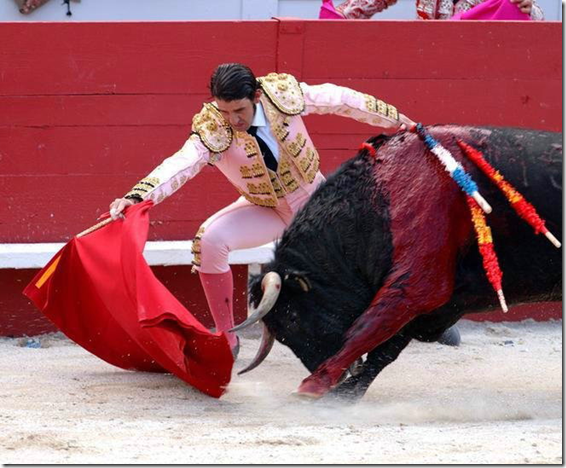 Финальная благодарность публике после боя