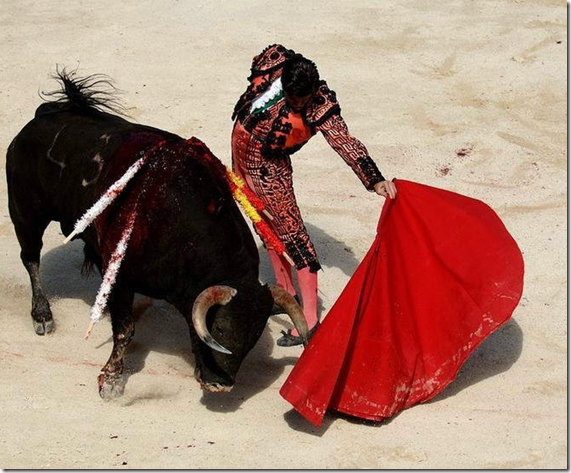 Вынос туши быка с арены после завершения боя