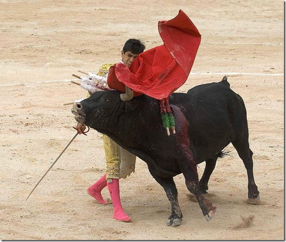 Матадор с мулетой ведёт быка в заключительной терции