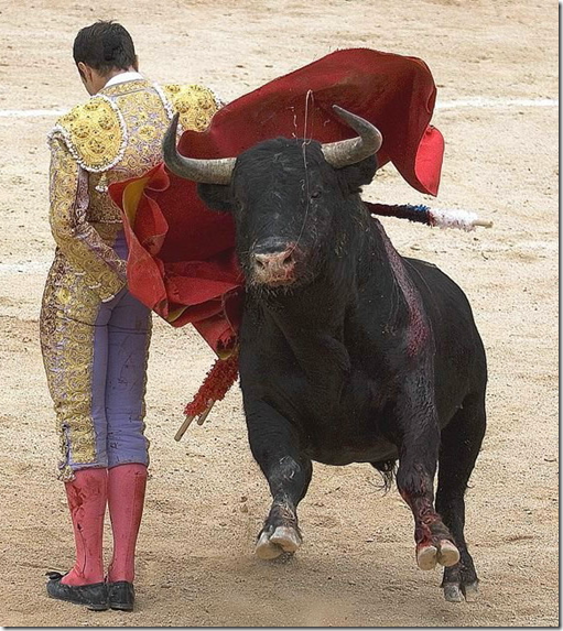 Матадор на арене с быком, начало корриды