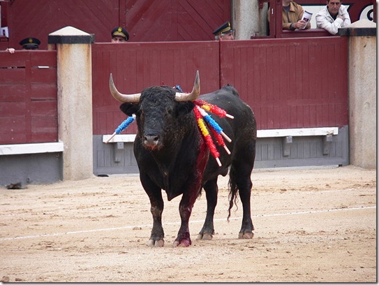 Столкновение быка с лошадью пикадора под защитной попоной